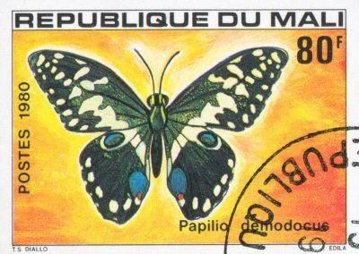 Republique du Mali postcard

