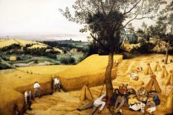 The Corn Harvest by Pieter Bruegel the Elder

